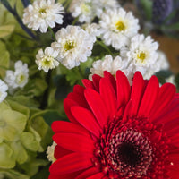 Tide and Petal