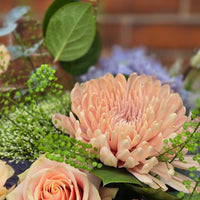 Peach Blossom