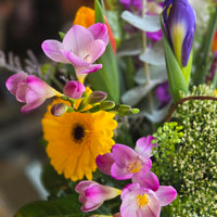 Pop of spring