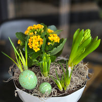 Spring Dish Garden