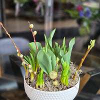 Spring Dish Garden