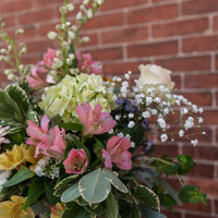 Softness All Around