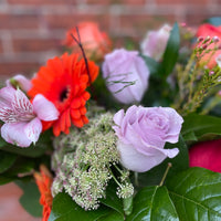 Blush Rush