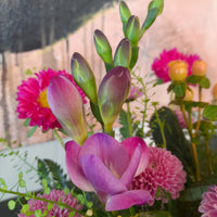 Twilight Blooms