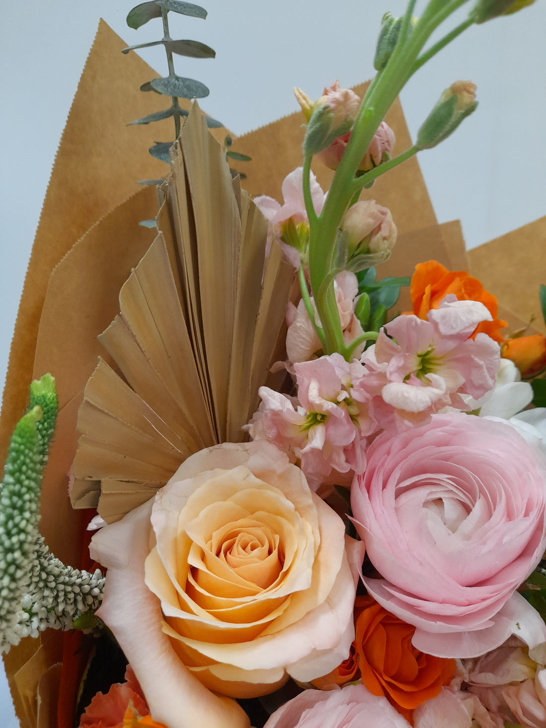 Peachy Dream