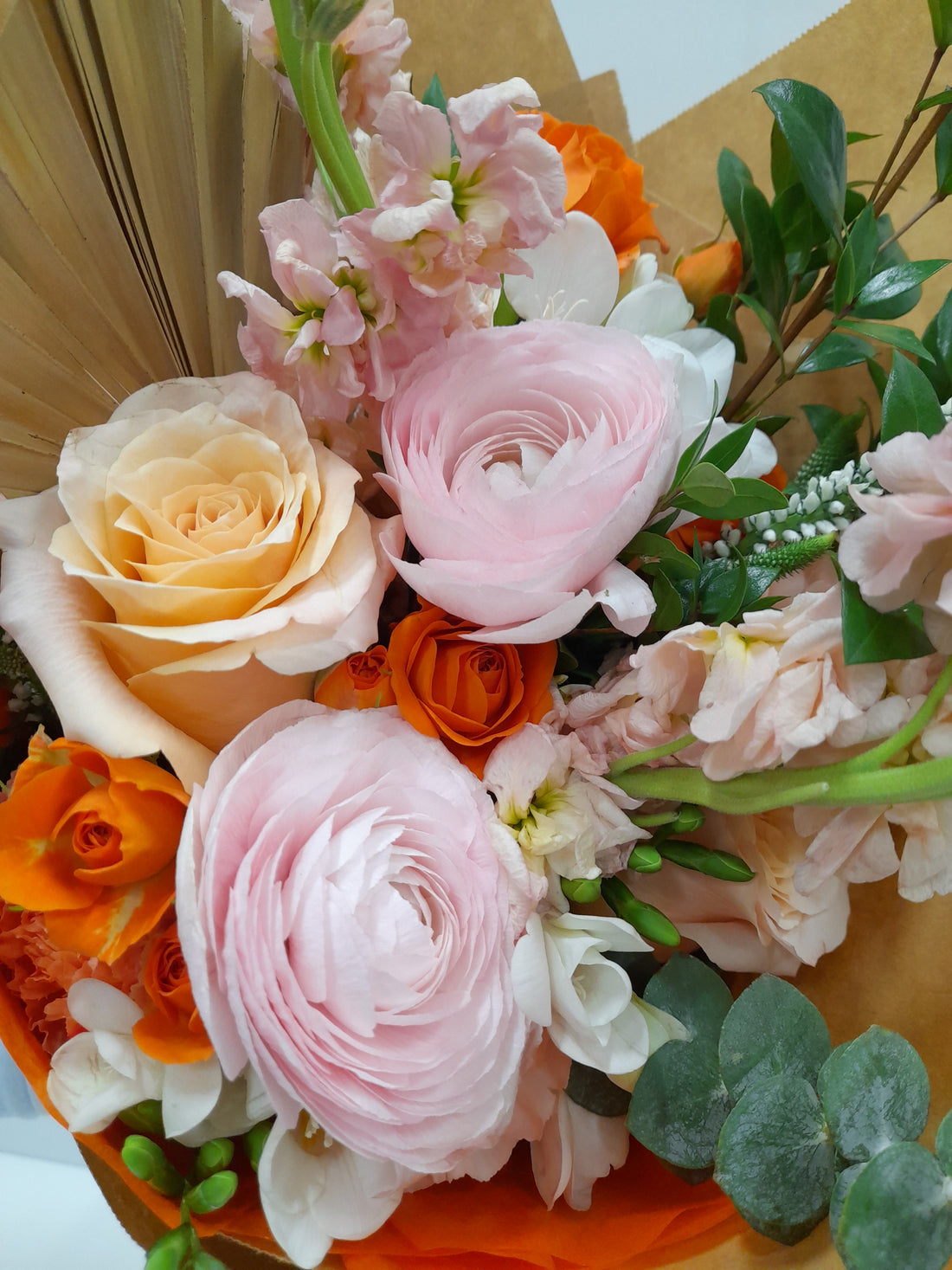 Peachy Dream