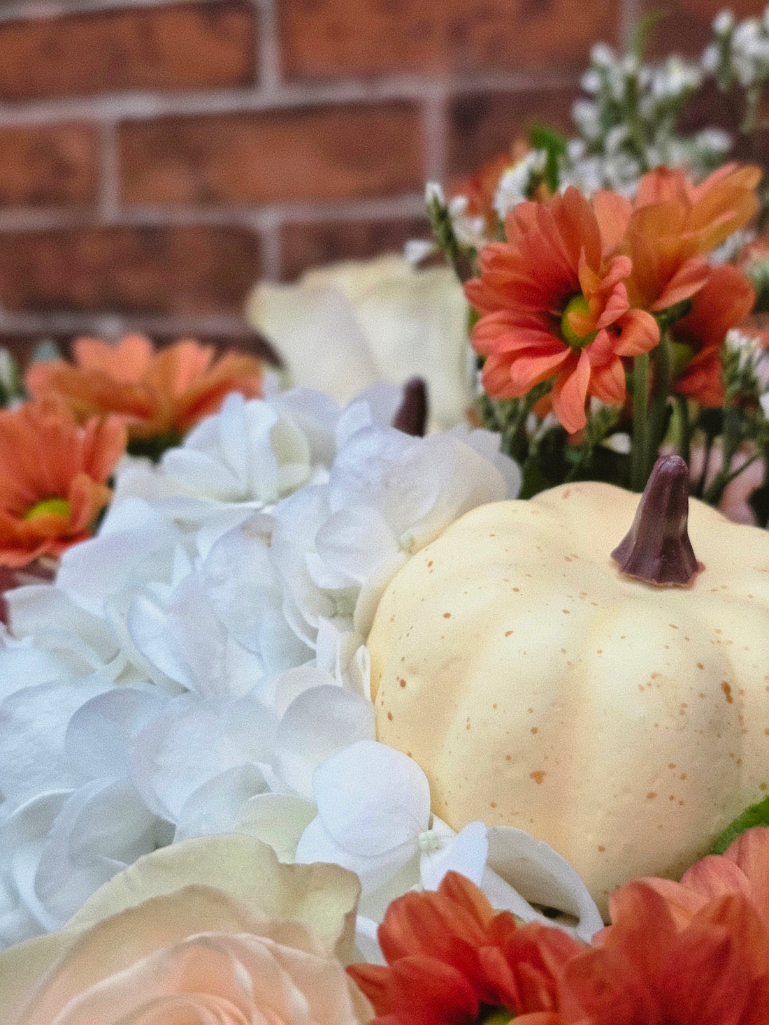 Autumn Glow