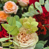 Autumn Romance