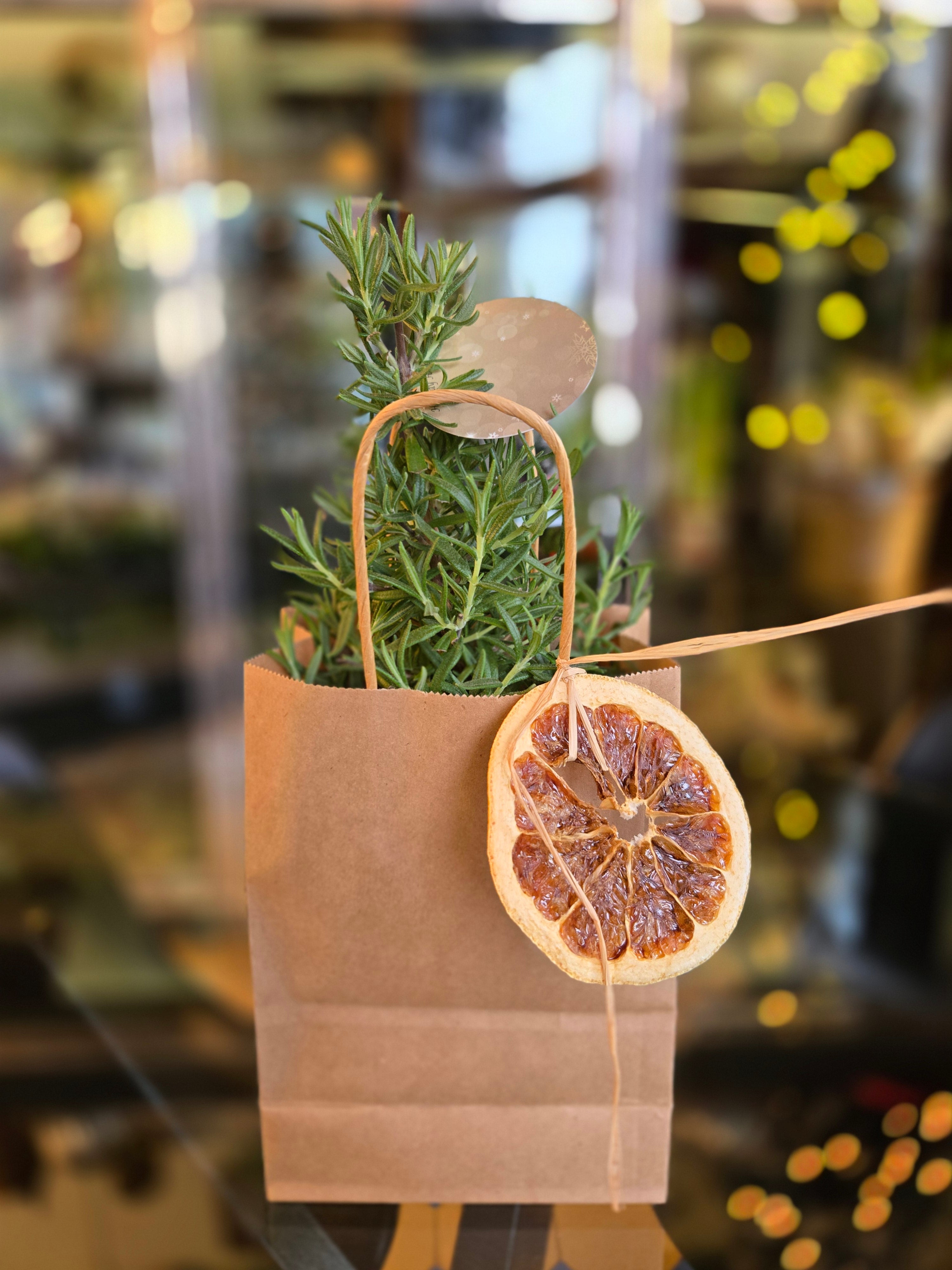 Rosemary Tree – Keirstead's Flower Shop