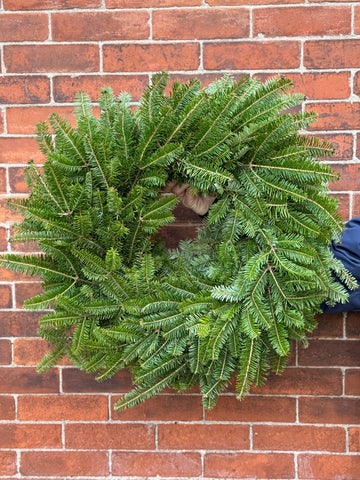 Wreath no decoration 12" And 16"