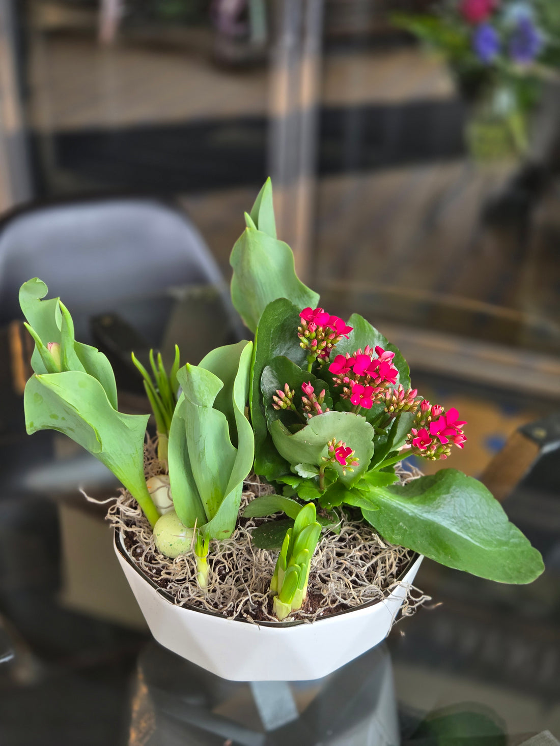 Spring Dish Garden