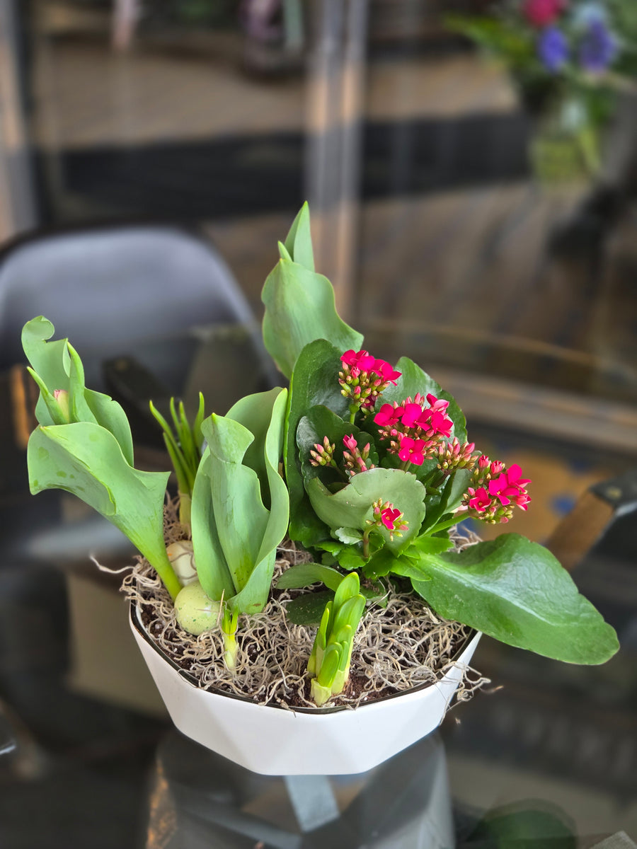 Spring Dish Garden