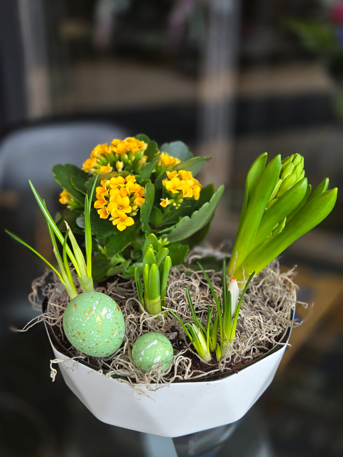 Spring Dish Garden