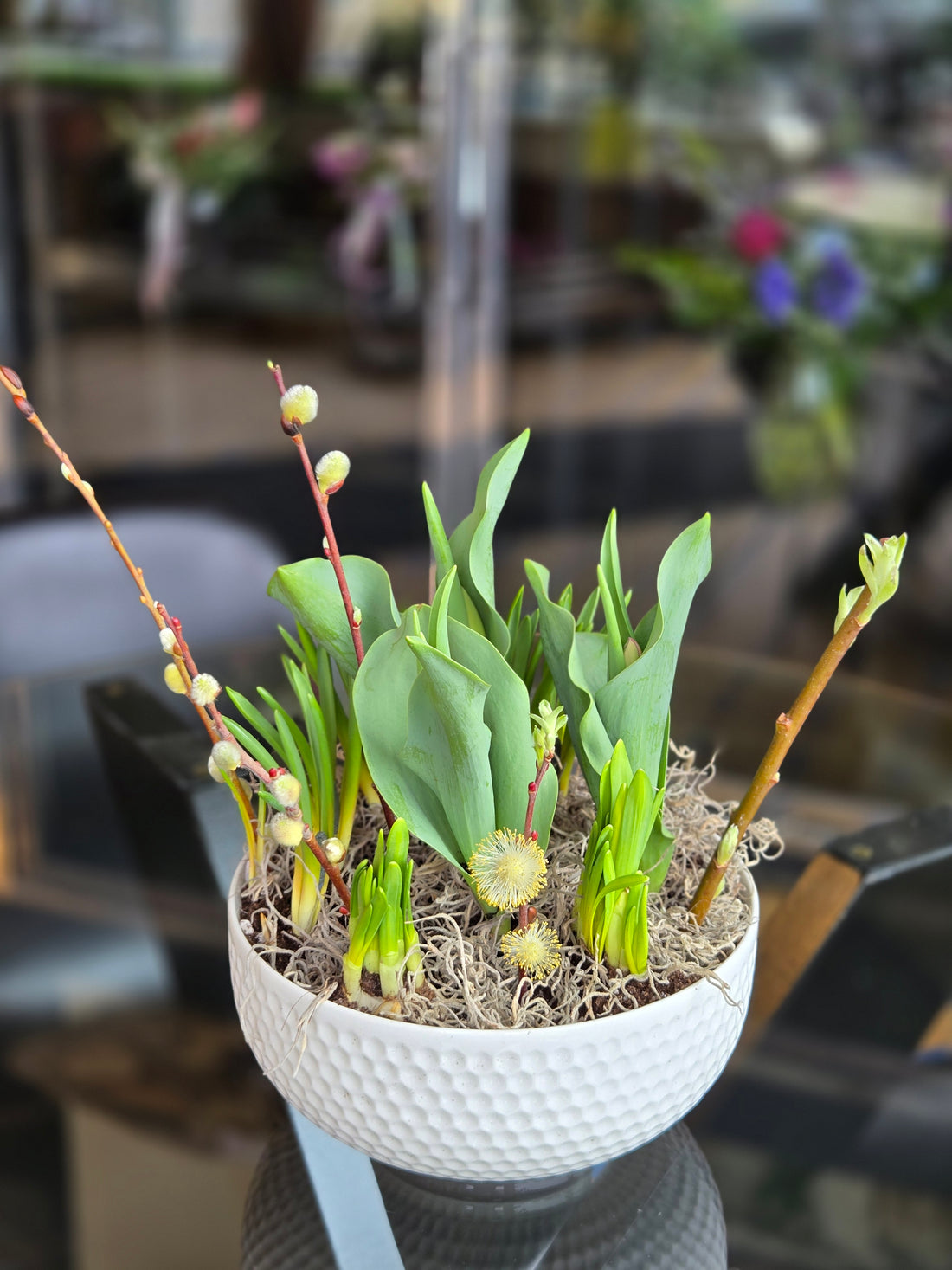 Spring Dish Garden