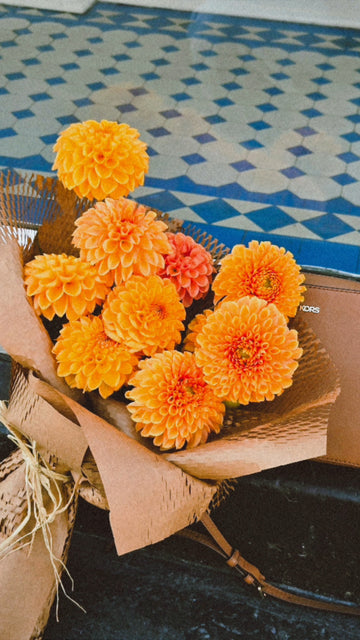 Dozen Dahlias