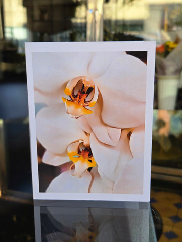Orchid Card